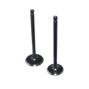 KIT DE VALVULAS ESC ADM