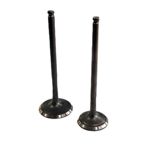 KIT DE VALVULAS ESC ADM